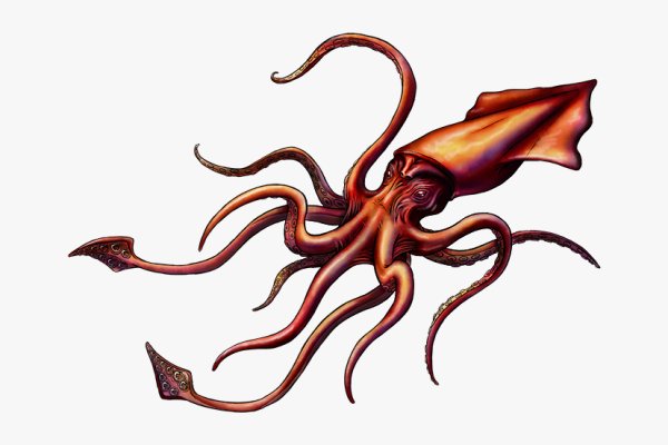 Kraken 13 at