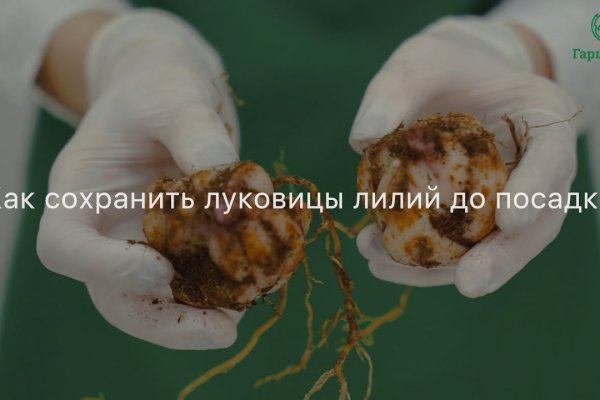 Сайты по продаже наркотиков