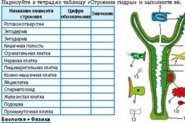 Рабочая ссылка на кракен в торе